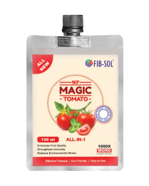 Fib-Sol Magic-Tomato 1