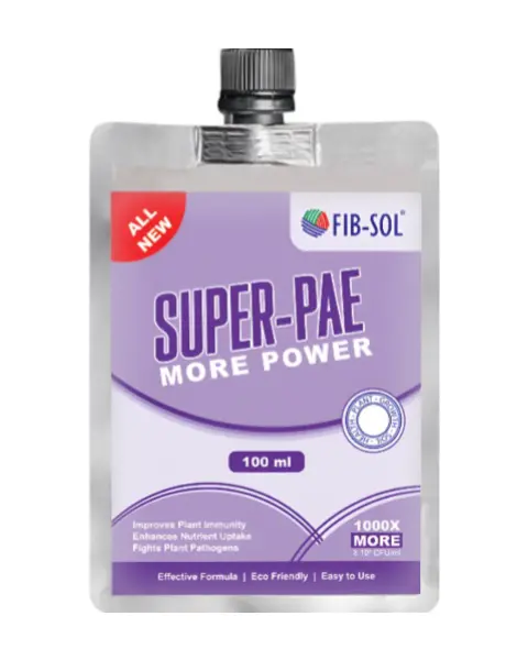 Fib-Sol Super-Pae 1