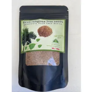 Pioneer Agro Ficus Religiosa Tree (Seeds) 1