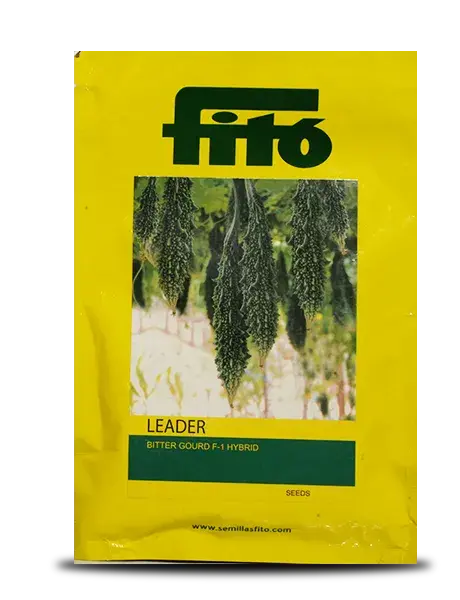 Leader Bittergourd ( लीडर करेला ) 1