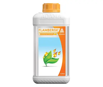 Flamberge Bio Stimulant – Amino Acid & Peptide-Based Plant Growth Enhancer 1