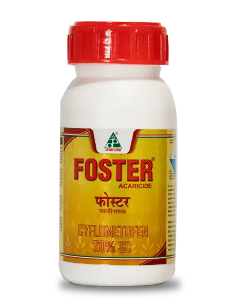 Foster Insecticide (Cyflumetofen 20% Sc) – Controls Red Spider Mites Effectively 1