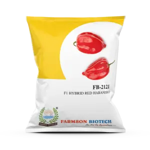 Farmson Fb - 2121 Habanero Red Seeds 1
