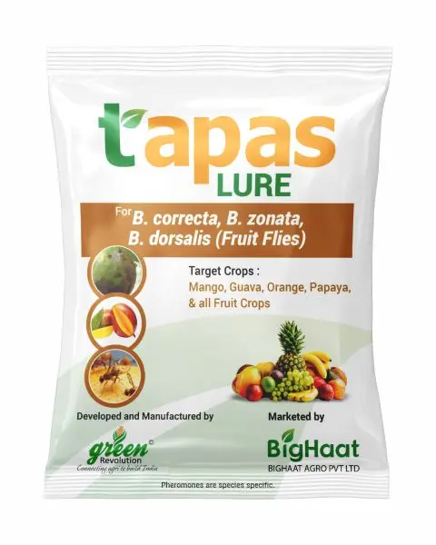 Fruit Fly Pheromone Lure For Mango, Guava & More | Tapas 1