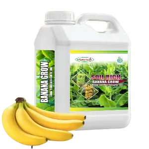 Amruth Fruit Grow (Growth Promoter) 1