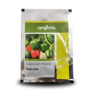 Gacela Capsicum Seeds 1