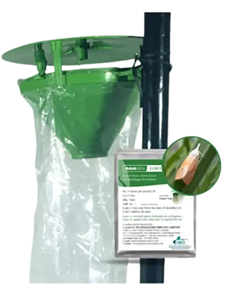 Gaiagen Scirpo® Lure Combo Pack - Pheromone Lure For Rice Yellow Stem Borer(Scirpophaga Incertulas) & Insect Funnel Trap (Fero-T® Trap) | Includes - 10 Scirpo Lures® & 10 Fero-T® Traps 1
