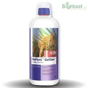 Galileo Fungicide 1