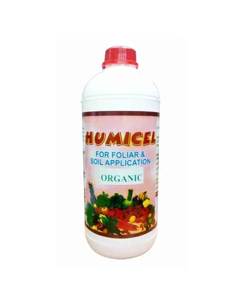 Gassin Pierre Humicel 1