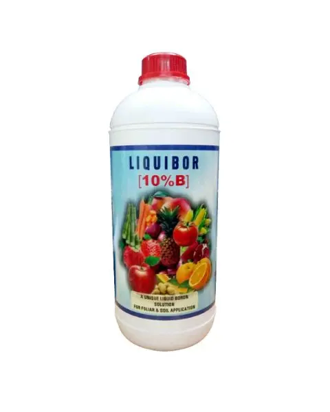 Gassin Pierre Liquibor 1