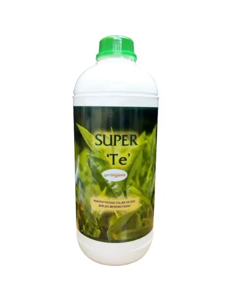 Gassin Pierre Super-Te 1
