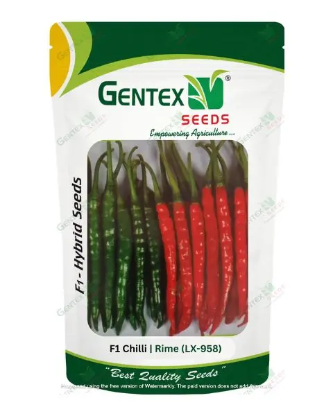 Gentex Chili Rime(Lx-958) Seeds 1