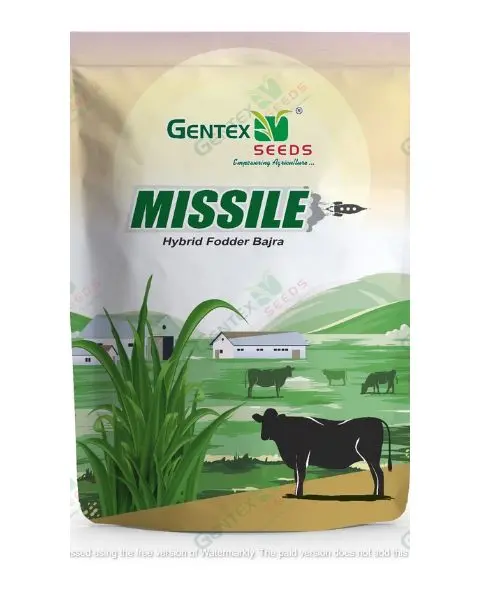 Gentex Hy. Fodder Bajra Missile Seeds 1