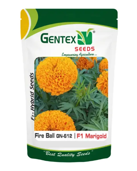 Gentex Marigold Fireball Seeds 1