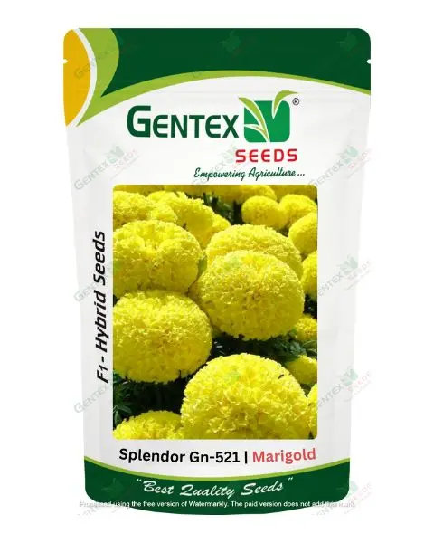 Gentex Marigold Splendor Seeds 1