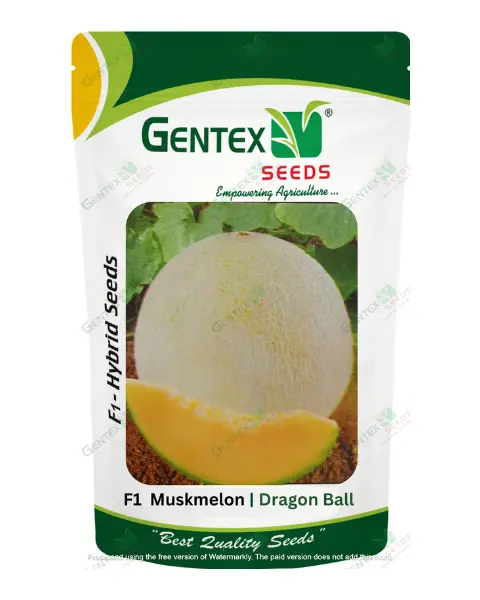 Gentex Muskmelon Dragon Ball Seeds 1