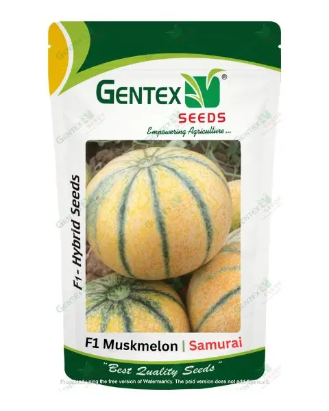 Gentex Muskmelon Samurai Seeds 1