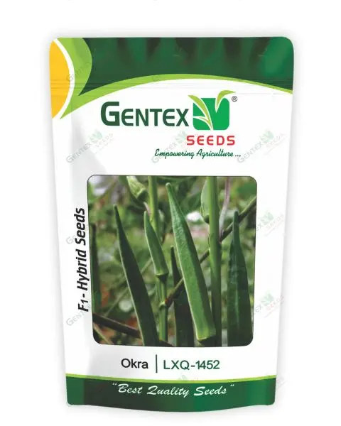 Gentex Okra Lxq-1452 Seeds 1