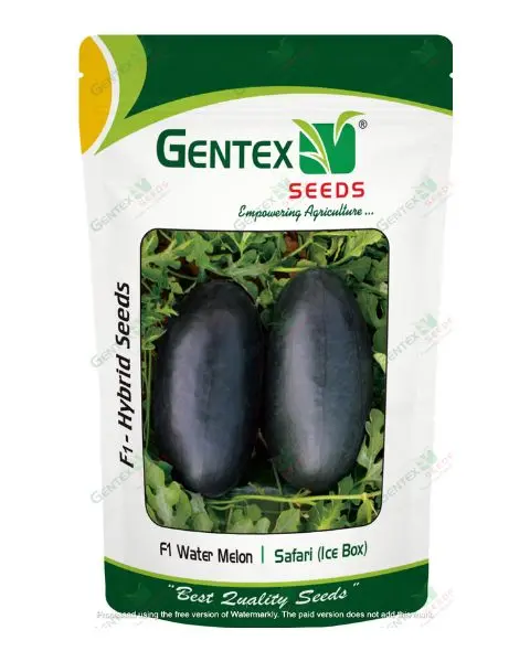 Gentex Watermelon Safari (Ice-Box) Seeds 1