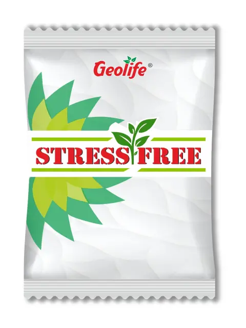 Geolife Stress Free 1