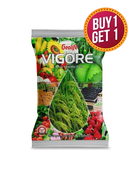 Geolife Vigore - Buy 1 Get 1 Free 1
