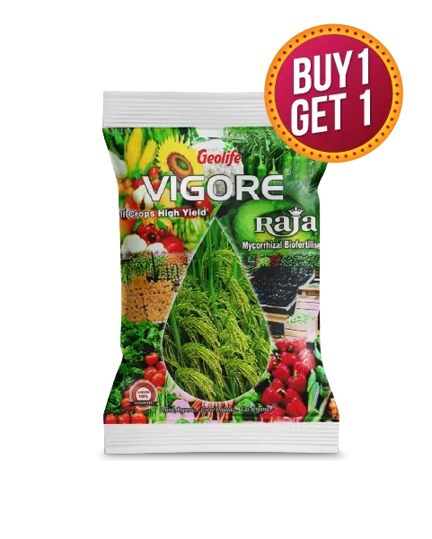 Geolife Vigore Raja -Buy 1 Get 1 Free 1