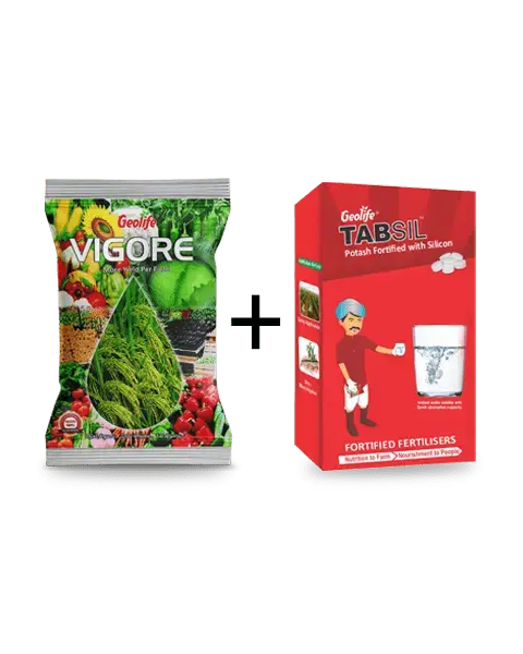 Geolife Vigore & Tabsil Combo 1