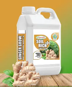 Amruth Ginger Grow: Organic Growth Promoter For Higher Ginger Yield 1