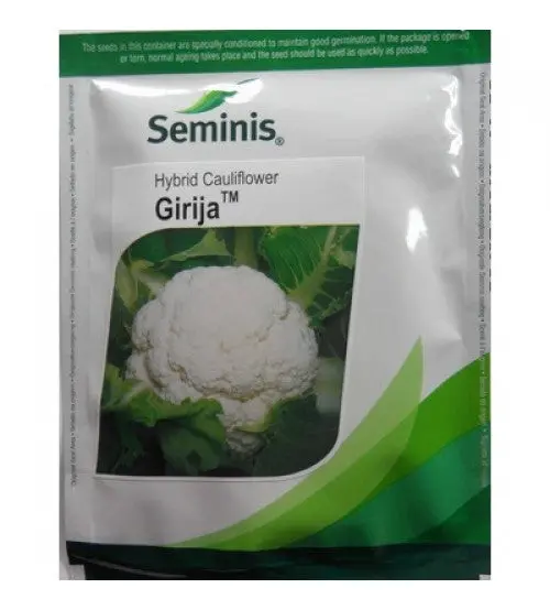 Girija Cauliflower Seeds 1