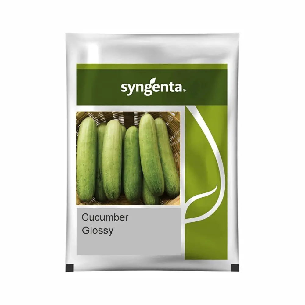 Syngenta Glossy Cucumber Seeds - High Yielding Cucumber Variety & Disease Tolerant 1
