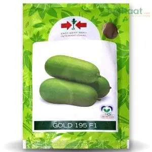 Gold-195 Wax Gourd 1