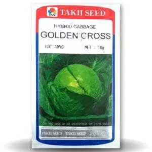 Golden Cross Cabbage F1 1