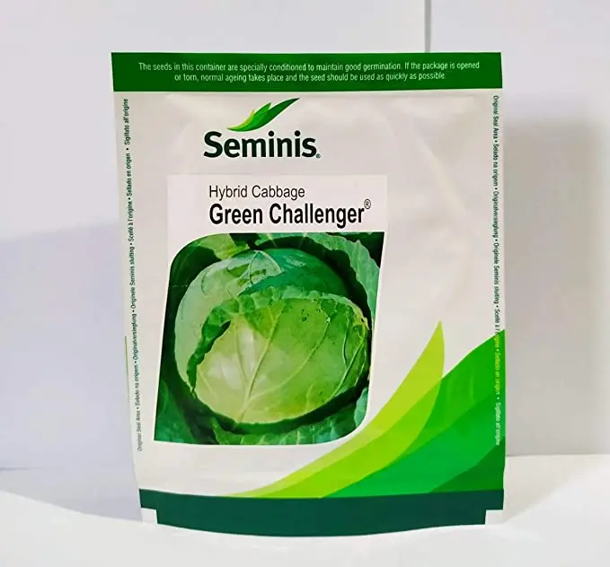 Green Challenger Cabbage 1
