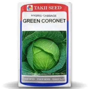 Green Coronet Cabbage F1 1