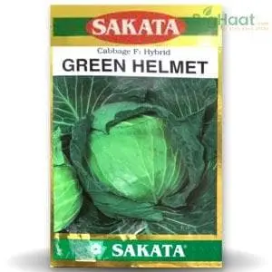 Green Helmet Cabbage 1