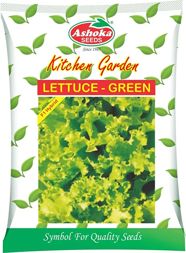 Green Lettuce Seeds – Fast Growing, Disease Resistant, Exotic Variety 1