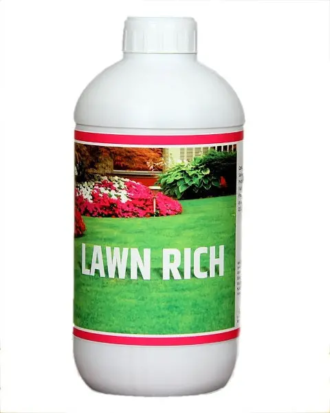 Green Peace Lawn Rich 1