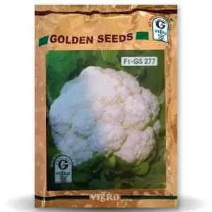 Gs-277 Cauliflower 1