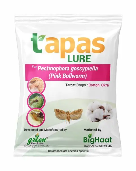 Pink Bollworm Pheromone Lure For Cotton & Okra (Ipm Suitable) | Tapas 1