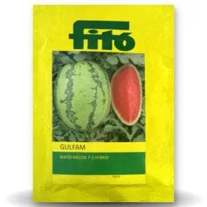 Gulfam Watermelon Seeds - Sweet, Light Green Rind, Heavy Yield 1