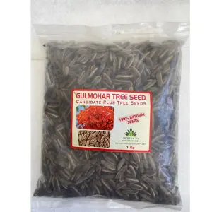 Pioneer Agro Gulmohar(May Flower) Seed 1