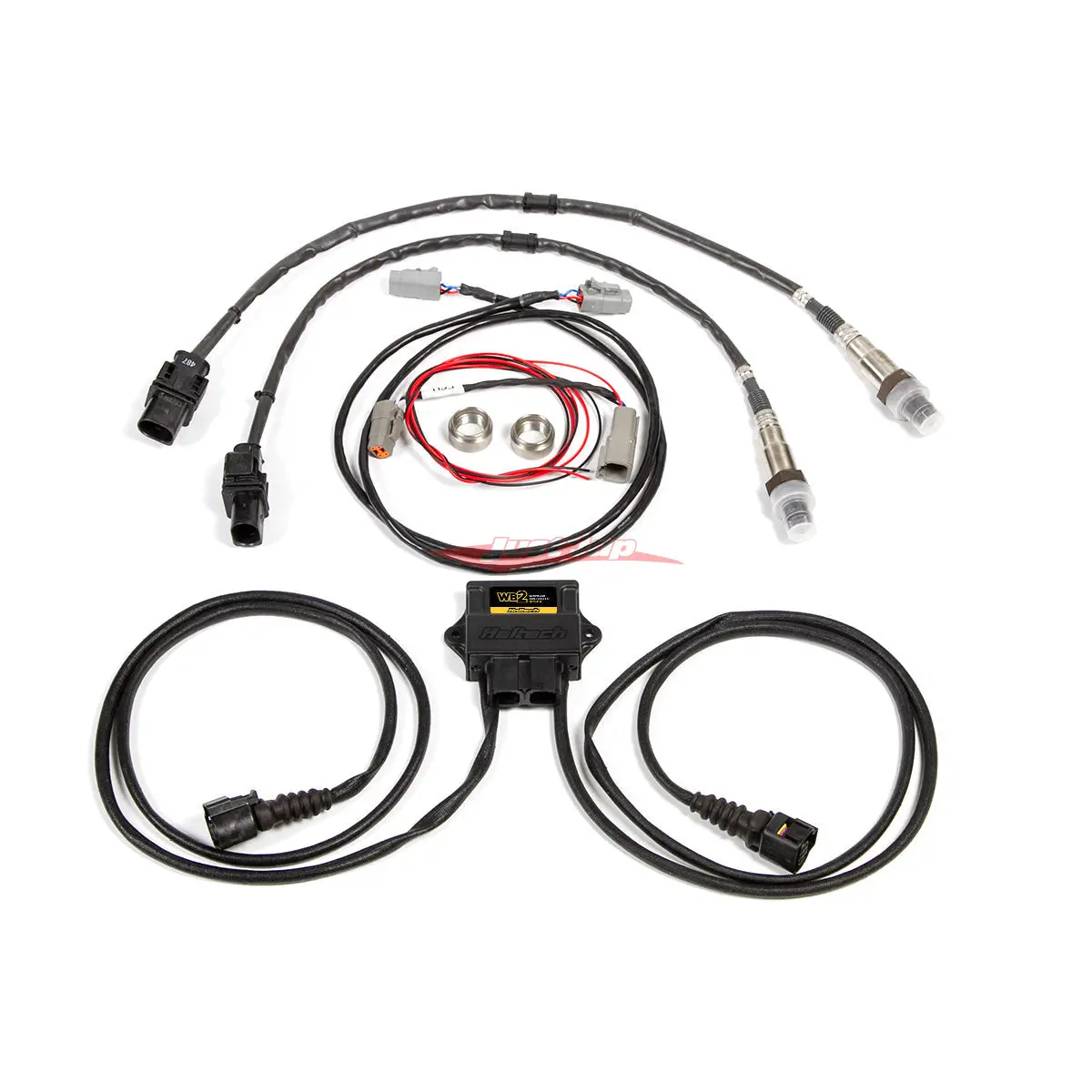 Haltech Dual Channel Can O2 Wideband Controller Kit (Bosch) 1