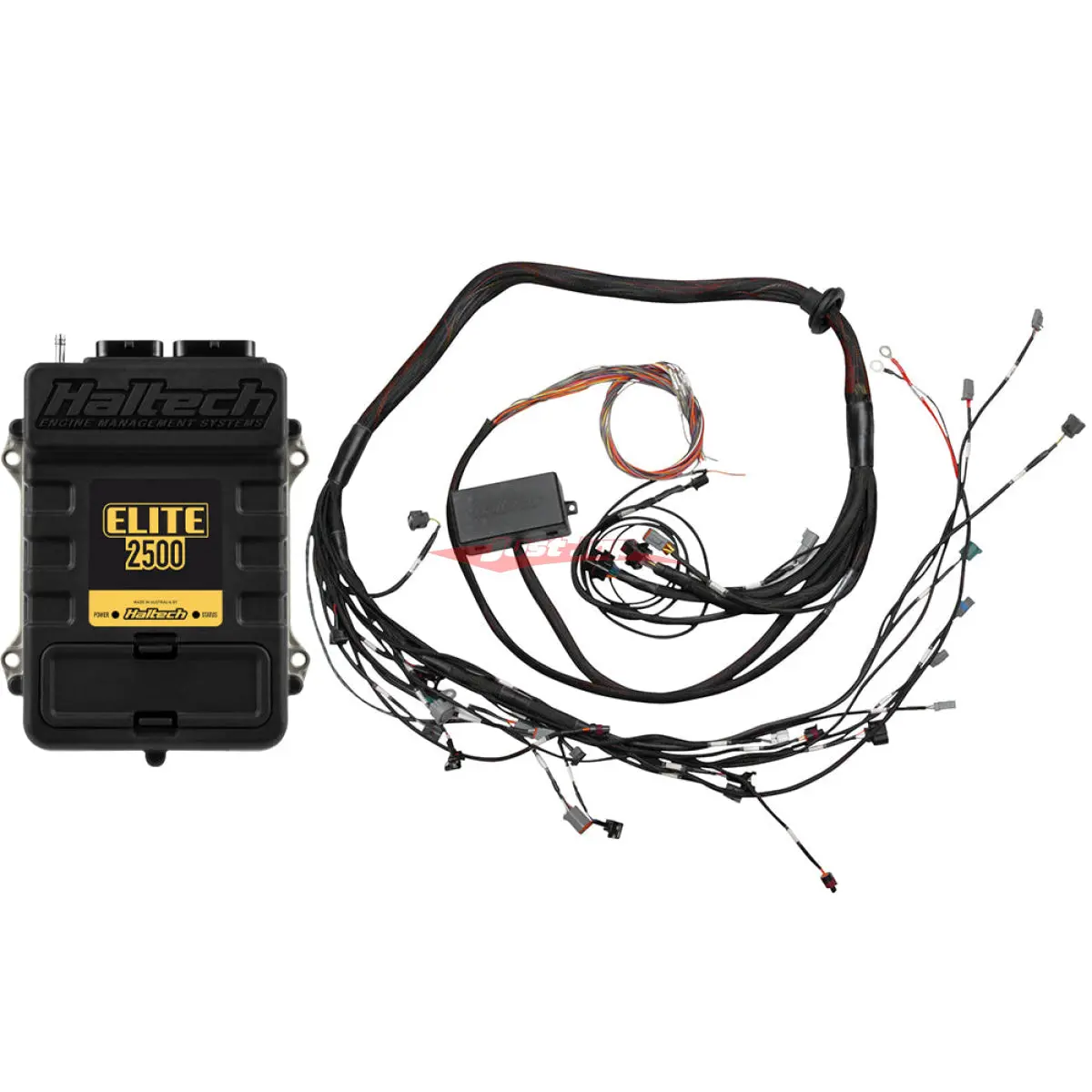 Haltech Elite 2500 + Toyota 2Jz Hpi6 Terminated Harness Kit 1