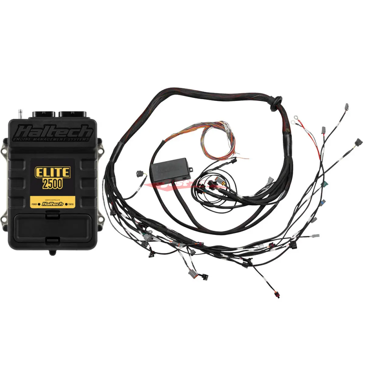 Haltech Elite 2500 + Toyota 2Jz Ign-1A Terminated Harness Kit 1