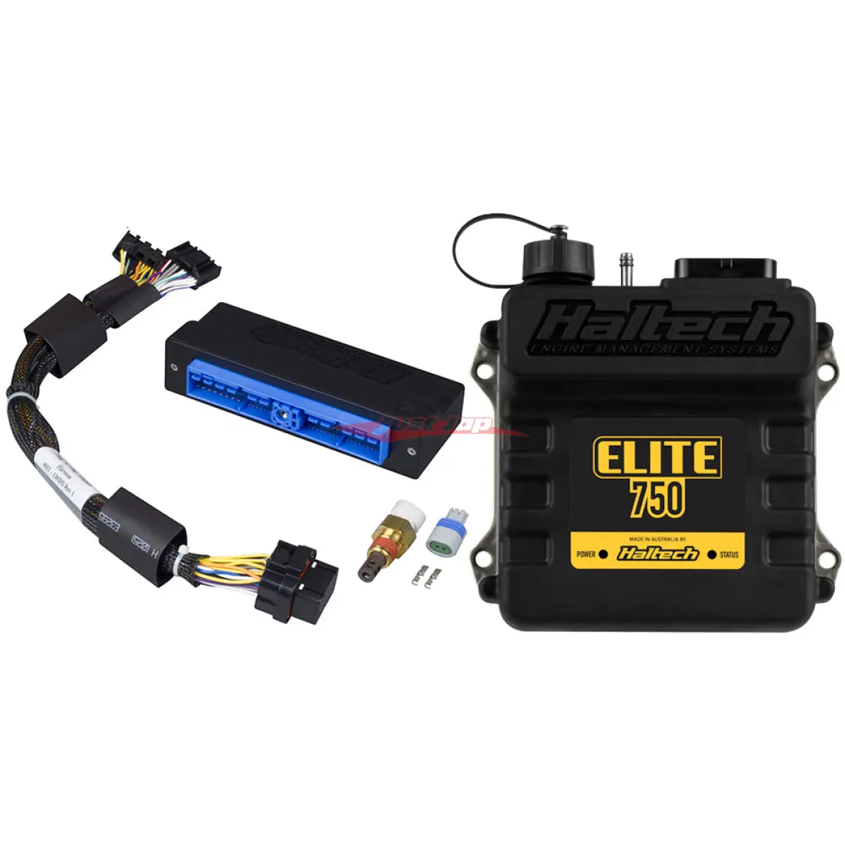 Haltech Elite 750 + Nissan Patrol Y60 (Tb42) Plug 'N' Play Adaptor Harness Kit 1