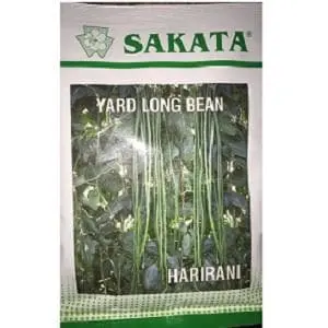 Harirani Yard Long Bean 1