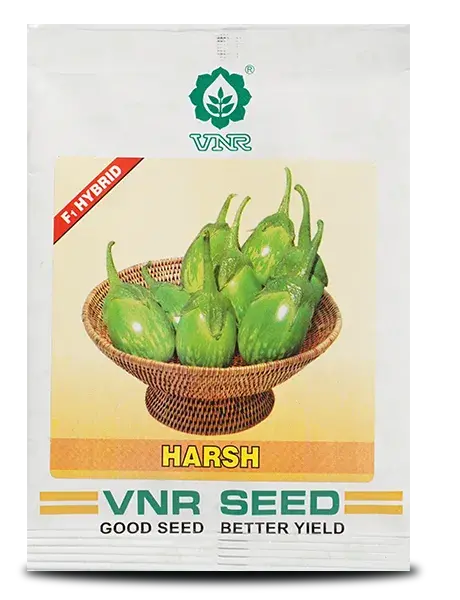 Vnr Harsh F1 Hybrid Brinjal Seeds 1