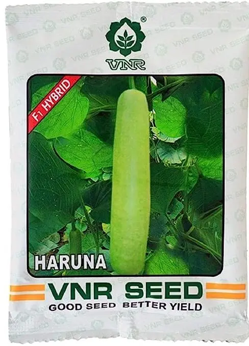 Vnr Haruna F1 Hybrid Bottle Gourd Seeds - Early Maturing, High Yielding Variety 1