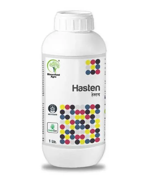 Bloomfield Hasten 1