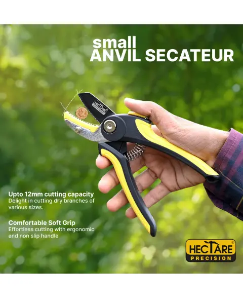 Hectare Precision Anvil Secateur - Small 2